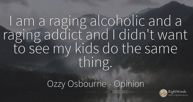 I am a raging alcoholic and a raging addict and I didn't... - Ozzy Osbourne, quote about opinion, things