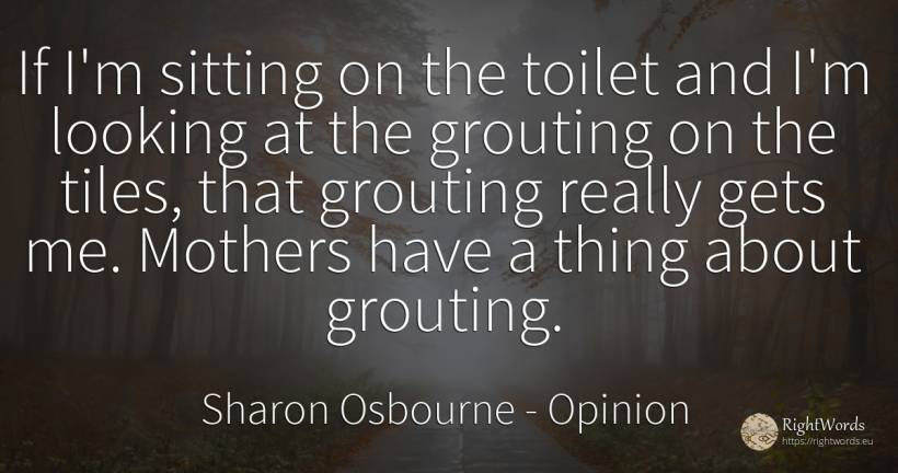 If I'm sitting on the toilet and I'm looking at the... - Sharon Osbourne, quote about opinion, things