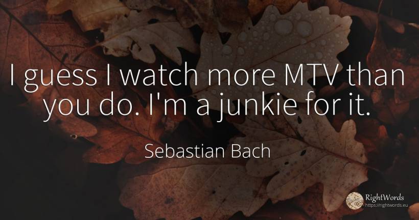 I guess I watch more MTV than you do. I'm a junkie for it. - Sebastian Bach