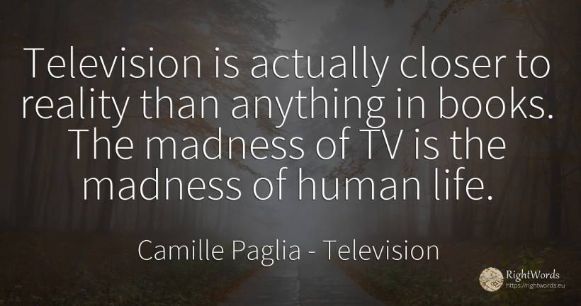 Television is actually closer to reality than anything in... - Camille Paglia, quote about television, reality, books, human imperfections, life