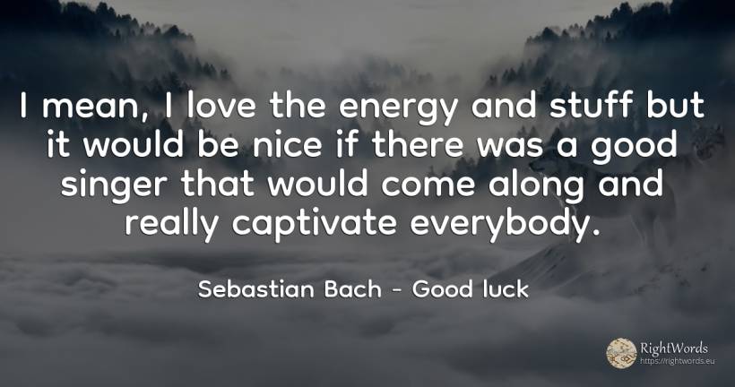 I mean, I love the energy and stuff but it would be nice... - Sebastian Bach, quote about good, good luck, love