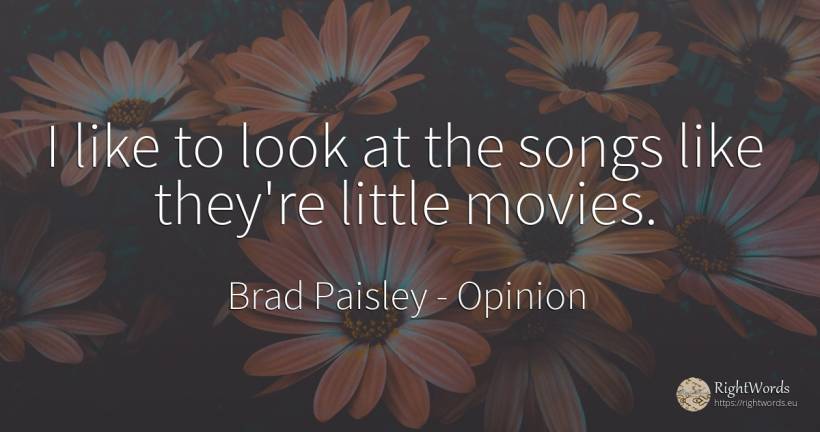 I like to look at the songs like they're little movies. - Brad Paisley, quote about opinion