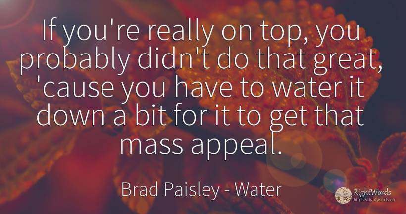 If you're really on top, you probably didn't do that... - Brad Paisley, quote about water