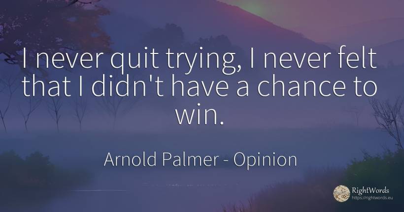 I never quit trying, I never felt that I didn't have a... - Arnold Palmer, quote about opinion, chance