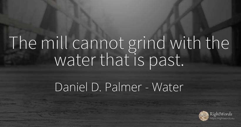 The mill cannot grind with the water that is past. - Daniel D. Palmer, quote about water, past