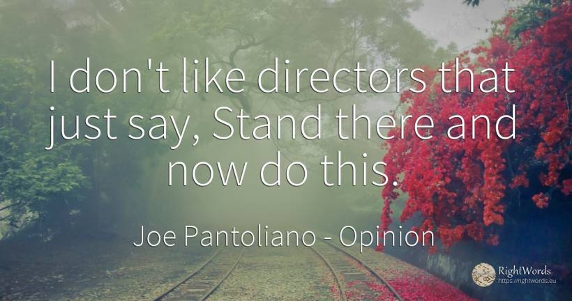I don't like directors that just say, Stand there and now... - Joe Pantoliano, quote about opinion