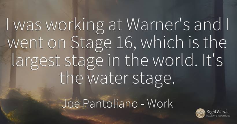 I was working at Warner's and I went on Stage 16, which... - Joe Pantoliano, quote about work, water, world