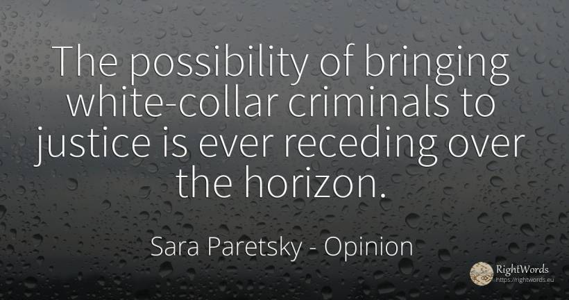 The possibility of bringing white-collar criminals to... - Sara Paretsky, quote about opinion, criminals, justice