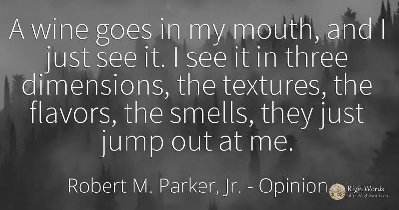A wine goes in my mouth, and I just see it. I see it in... - Robert M. Parker, Jr., quote about opinion, wine