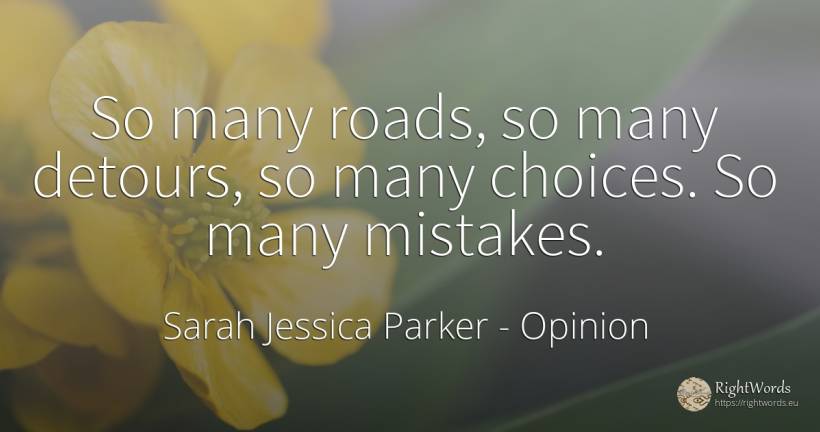 So many roads, so many detours, so many choices. So many... - Sarah Jessica Parker, quote about opinion