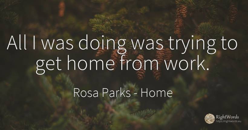 All I was doing was trying to get home from work. - Rosa Parks, quote about home, work