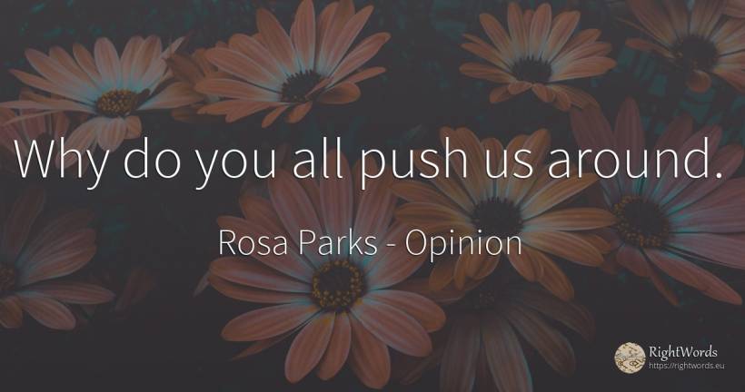 Why do you all push us around. - Rosa Parks, quote about opinion