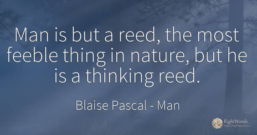 Man is but a reed, the most feeble thing in nature, but... - Blaise Pascal, quote about man, thinking, nature, things