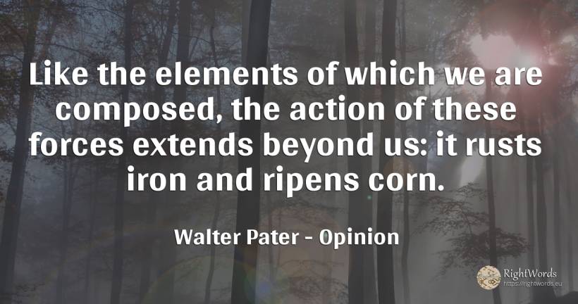 Like the elements of which we are composed, the action of... - Walter Pater, quote about opinion, force, action