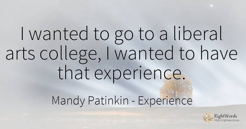 I wanted to go to a liberal arts college, I wanted to... - Mandy Patinkin, quote about experience, art