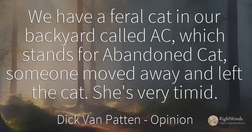 We have a feral cat in our backyard called AC, which... - Dick Van Patten, quote about opinion