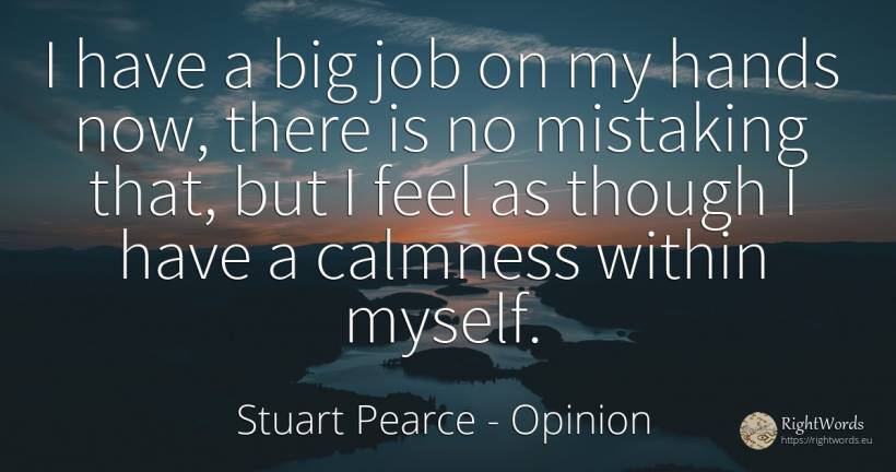 I have a big job on my hands now, there is no mistaking... - Stuart Pearce, quote about opinion
