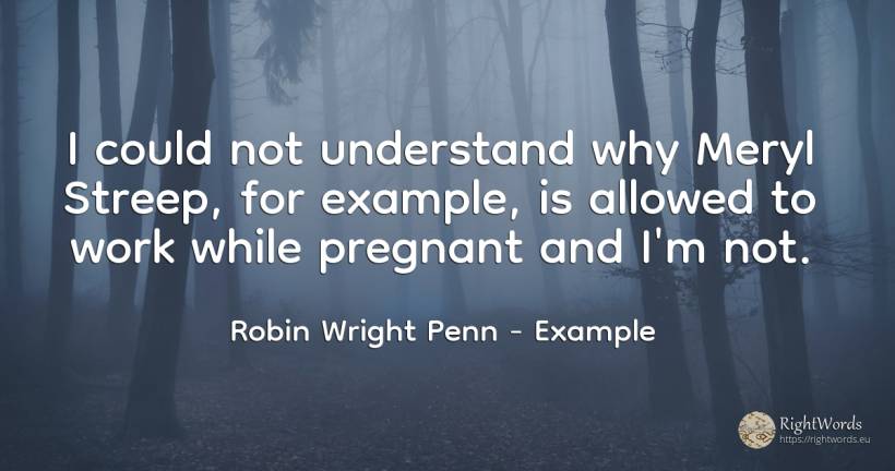 I could not understand why Meryl Streep, for example, is... - Robin Wright Penn, quote about example, work