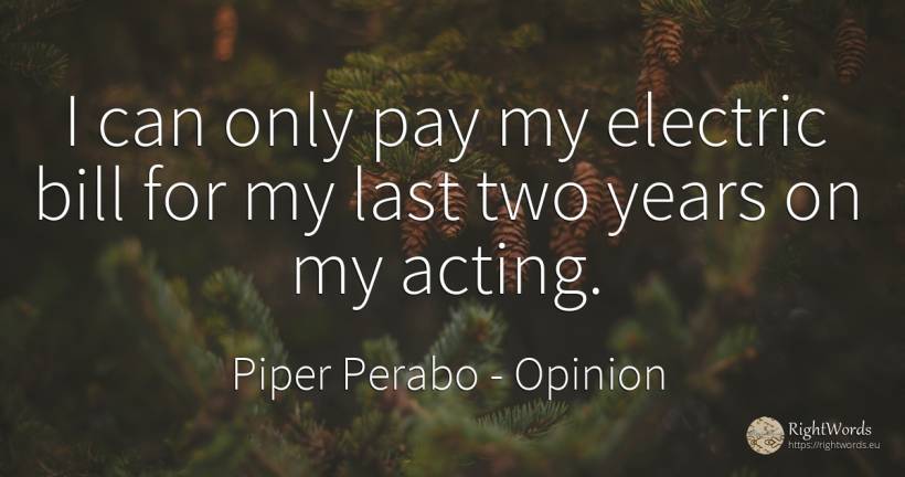 I can only pay my electric bill for my last two years on... - Piper Perabo, quote about opinion