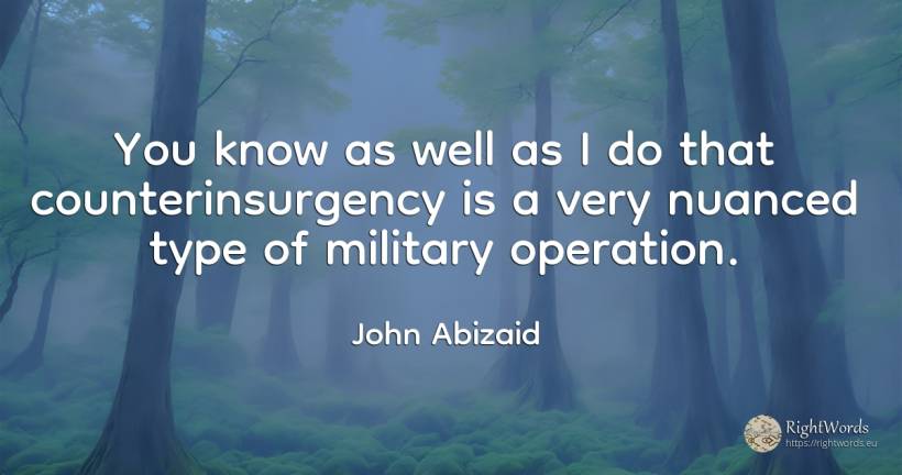 You know as well as I do that counterinsurgency is a very... - John Abizaid