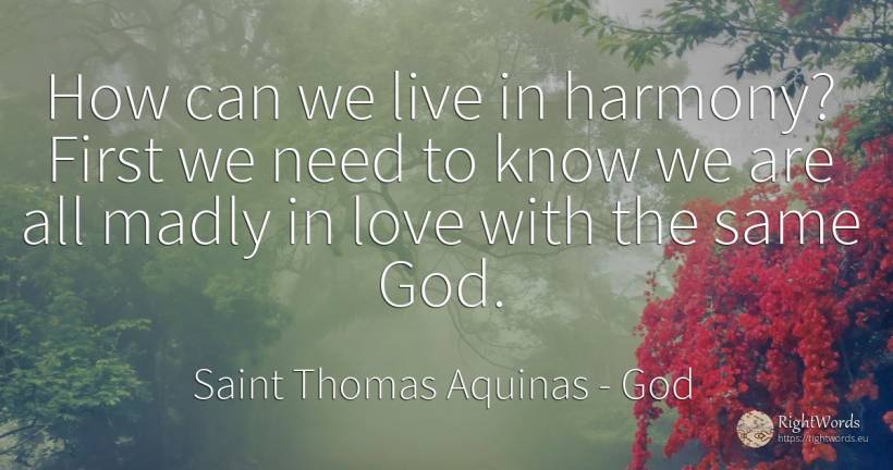 How can we live in harmony? First we need to know we are... - Saint Thomas Aquinas, quote about god, harmony, need, love