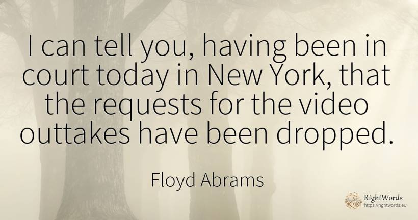 I can tell you, having been in court today in New York, ... - Floyd Abrams