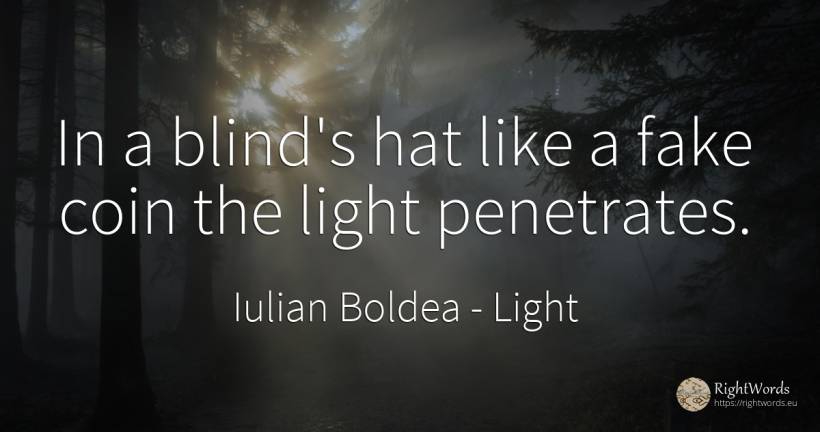 In a blind's hat like a fake coin the light penetrates. - Iulian Boldea, quote about light, blind