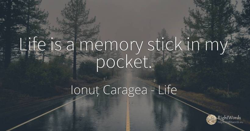 Life is a memory stick in my pocket. - Ionuț Caragea (Snowdon King), quote about life, memory