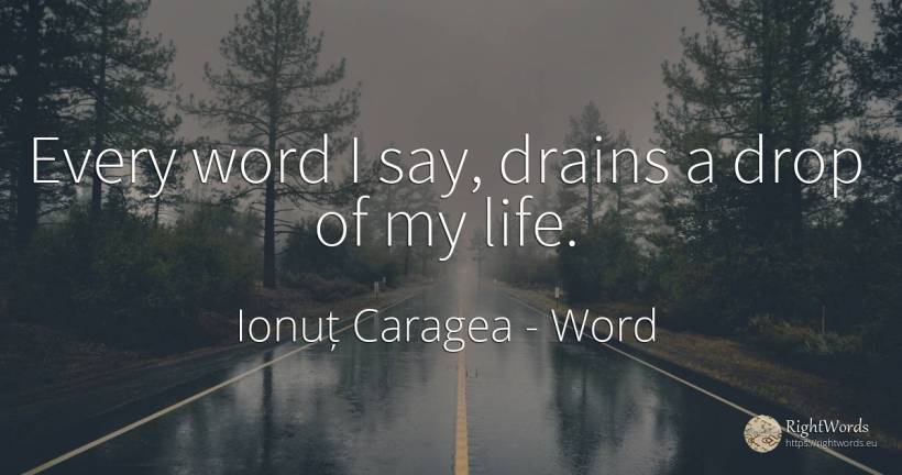 Every word I say, drains a drop of my life. - Ionuț Caragea (Snowdon King), quote about word, life
