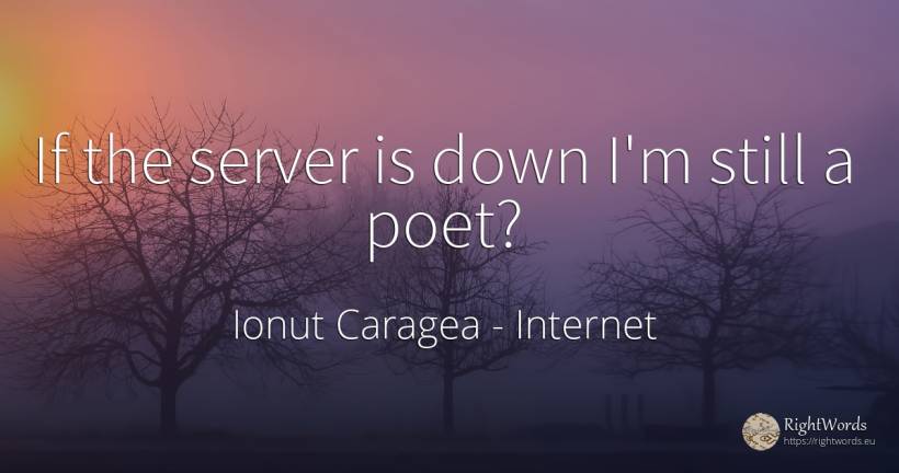 If the server is down I'm still a poet? - Ionuț Caragea (Snowdon King), quote about internet, poets