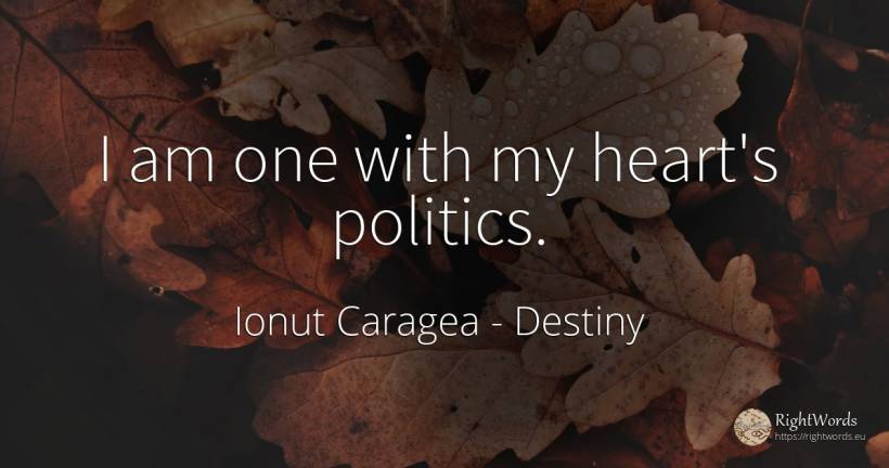 I am one with my heart's politics. - Ionuț Caragea (Snowdon King), quote about destiny, politics, heart