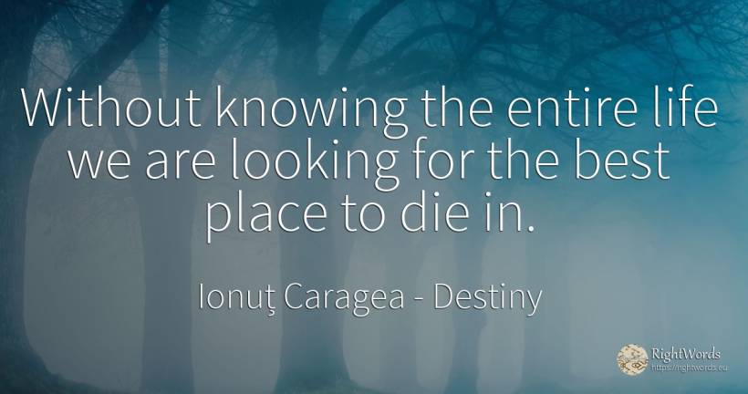 Without knowing the entire life we are looking for the... - Ionuț Caragea (Snowdon King), quote about destiny, life