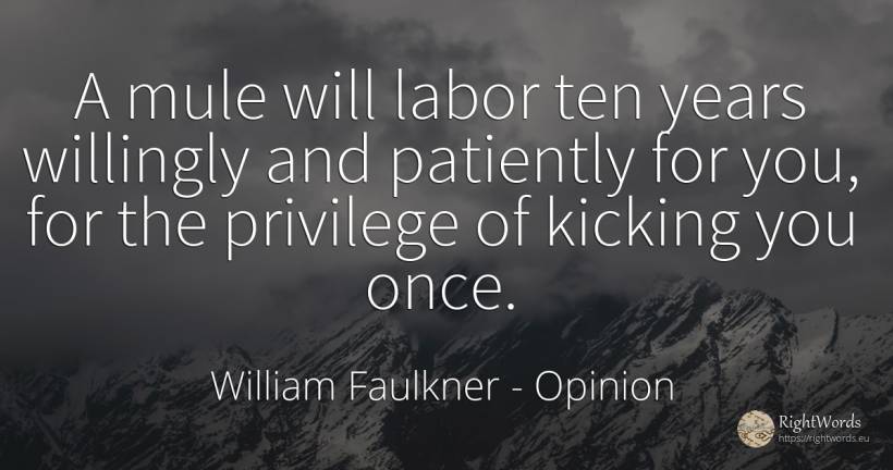 A mule will labor ten years willingly and patiently for... - William Faulkner, quote about opinion