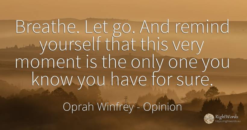 Breathe. Let go. And remind yourself that this very... - Oprah Winfrey, quote about opinion, moment