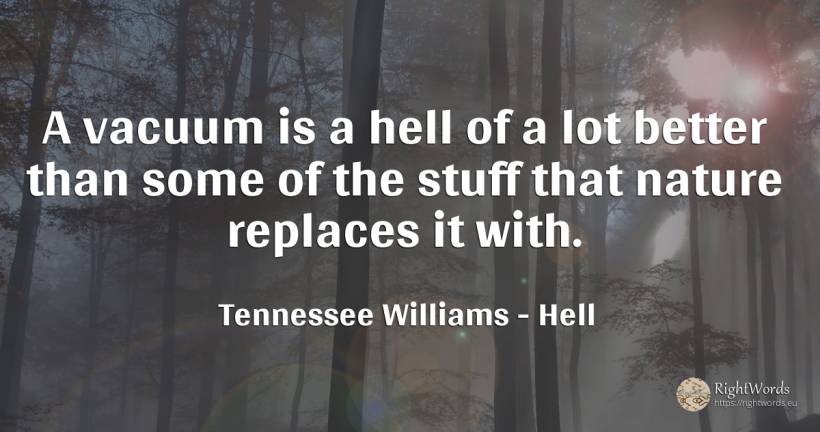A vacuum is a hell of a lot better than some of the stuff... - Tennessee Williams, quote about hell, nature