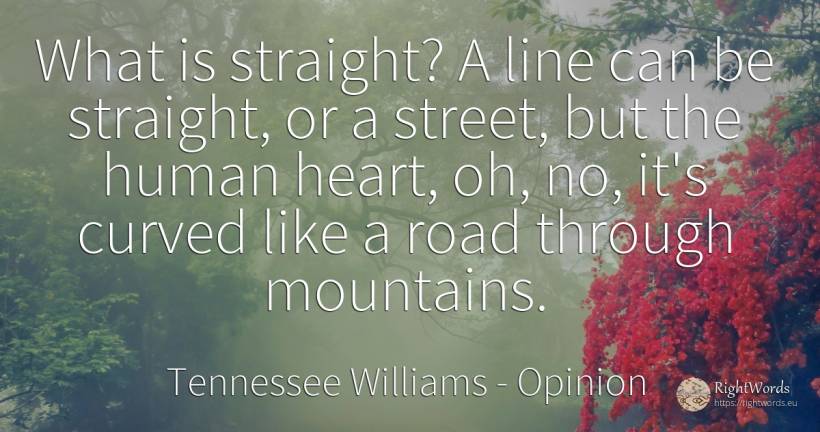 What is straight? A line can be straight, or a street, ... - Tennessee Williams, quote about opinion, heart, human imperfections