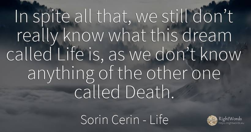 In spite all that, we still don’t really know what this... - Sorin Cerin, quote about life, dream, death
