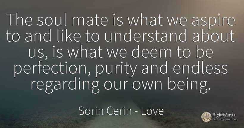 The soul mate is what we aspire to and like to understand... - Sorin Cerin, quote about love, perfection, soul, being