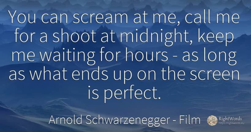 You can scream at me, call me for a shoot at midnight, ... - Arnold Schwarzenegger, quote about film, end, perfection