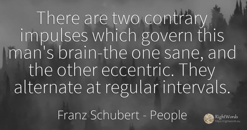 There are two contrary impulses which govern this man's... - Franz Schubert, quote about people, brain, man