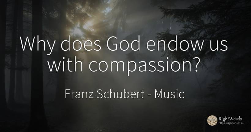 Why does God endow us with compassion? - Franz Schubert, quote about music, god