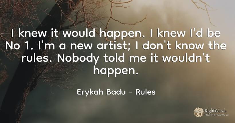 I knew it would happen. I knew I'd be No 1. I'm a new... - Erykah Badu, quote about rules, artists