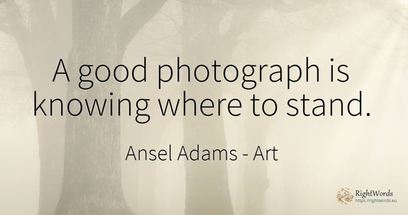 A good photograph is knowing where to stand. - Ansel Adams, quote about art, good, good luck