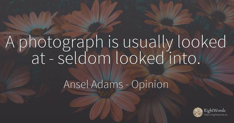 A photograph is usually looked at - seldom looked into. - Ansel Adams, quote about opinion