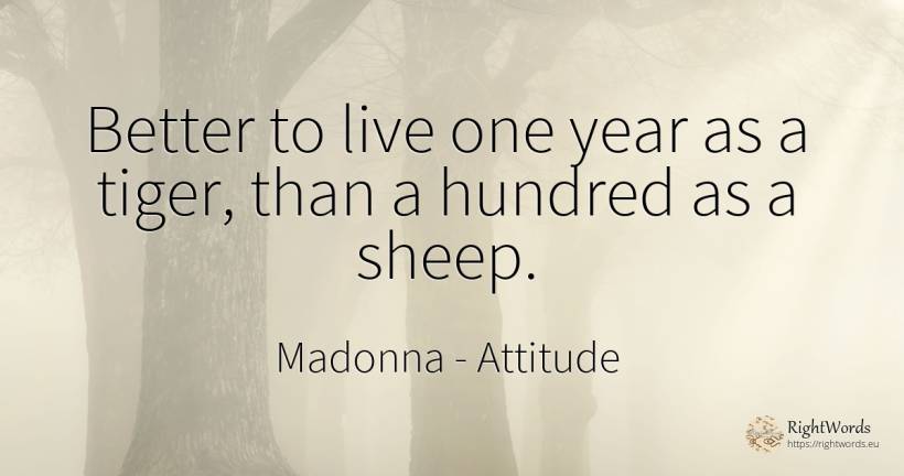 Better to live one year as a tiger, than a hundred as a... - Madonna, quote about attitude