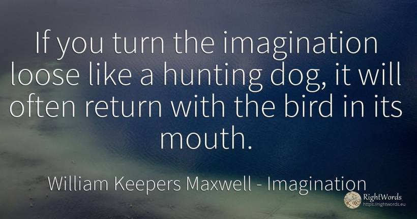 If you turn the imagination loose like a hunting dog, it... - William Keepers Maxwell, quote about imagination