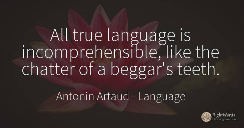 All true language is incomprehensible, like the chatter... - Antonin Artaud, quote about language