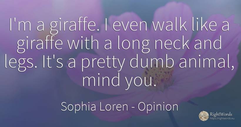 I'm a giraffe. I even walk like a giraffe with a long... - Sophia Loren, quote about opinion, mind