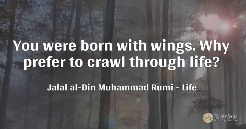 You were born with wings. Why prefer to crawl through life? - Jalal al-Din Muhammad Rumi (Jalāl ad-Dīn Muhammad Rūmī), quote about life