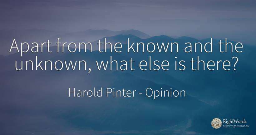 Apart from the known and the unknown, what else is there? - Harold Pinter, quote about opinion